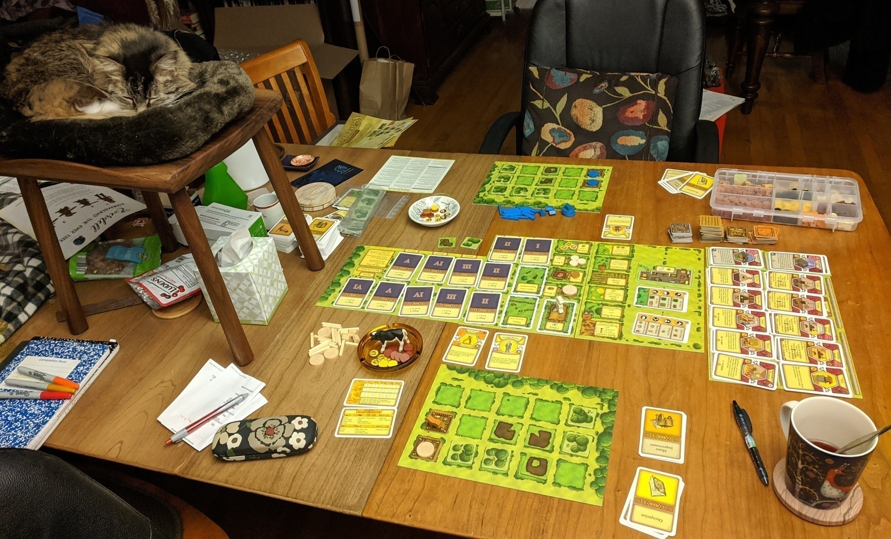 Figure 6. Newer stool in use.